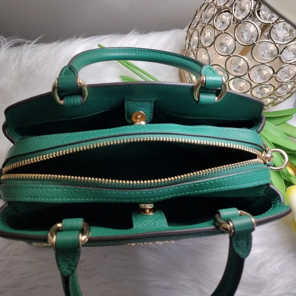 Coach mini Lillie carryall with Diary Embroidery Bag - Picture 3 of 14